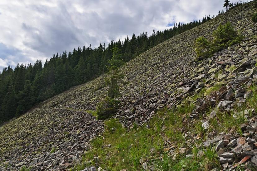 Осмолода з panoramio.com (ч.2) - Осмолода