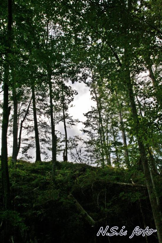 Бедевля з panoramio.com - Бедевля