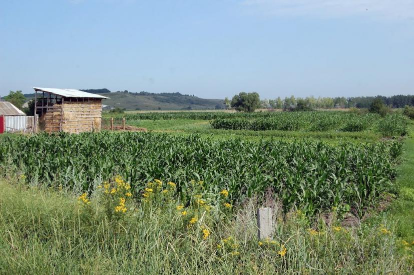 Булгаківка з panoramio.com - Булгаковка