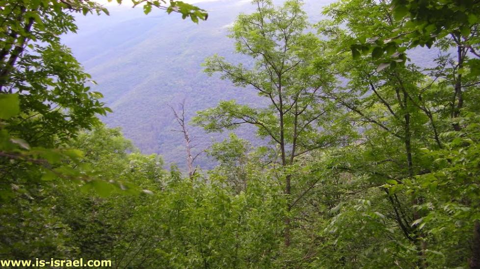 Многоріччя з panoramio.com - Многоречье
