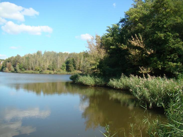Великі Прицьки з panoramio.com - Великие Прицки