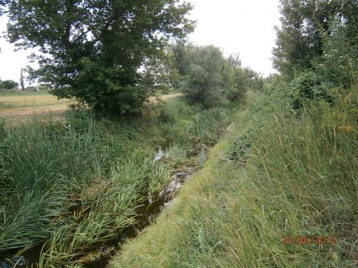 Колядівка з panoramio.com - Колядовка