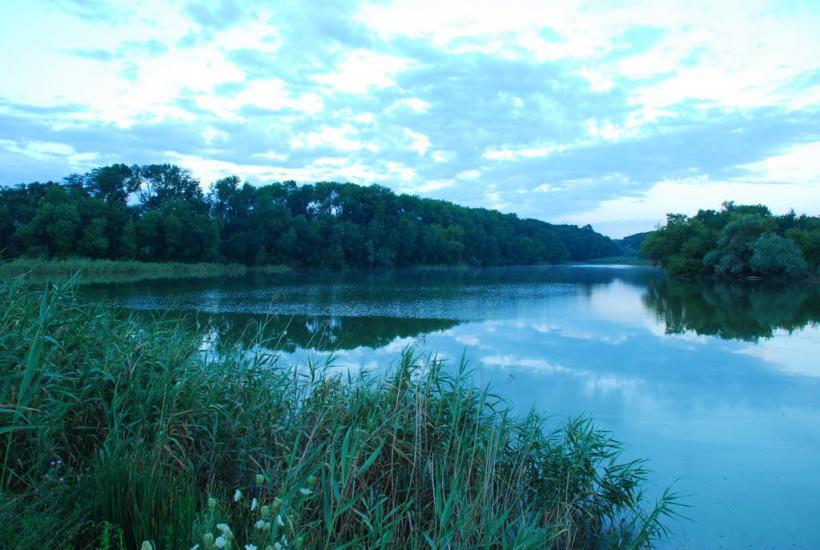 Синельникове з panoramio.com - Синельникове
