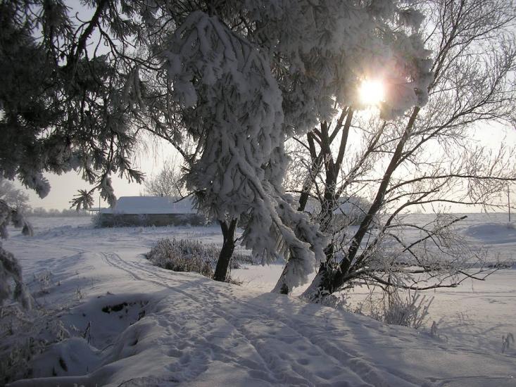 Рудківці з panoramio.com - Рудківці