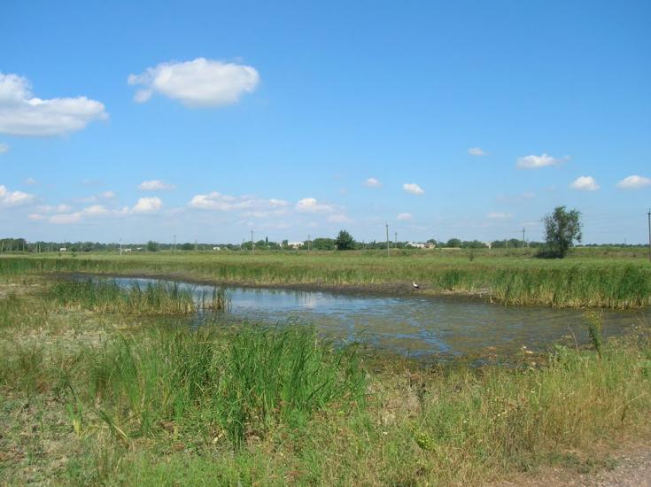 Новопілля з panoramio.com - Новополье