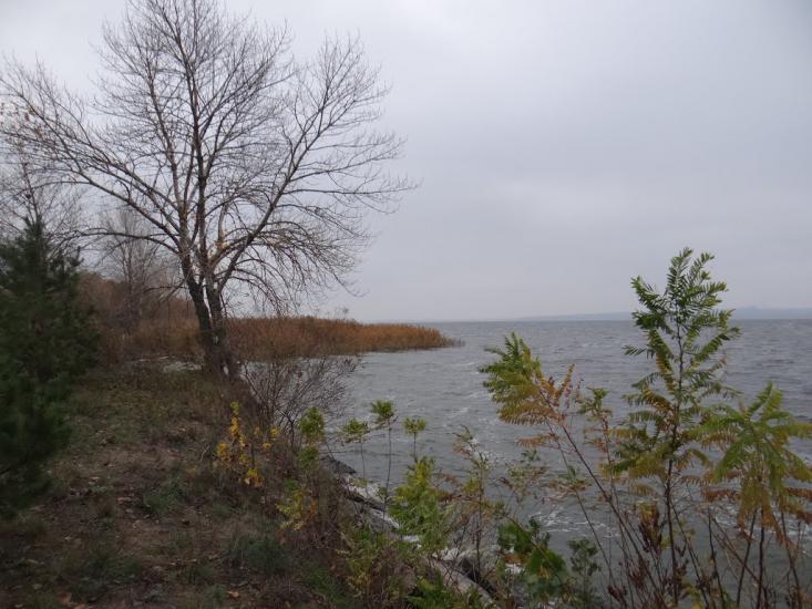 Дніпровське з panoramio.com - Дніпровське