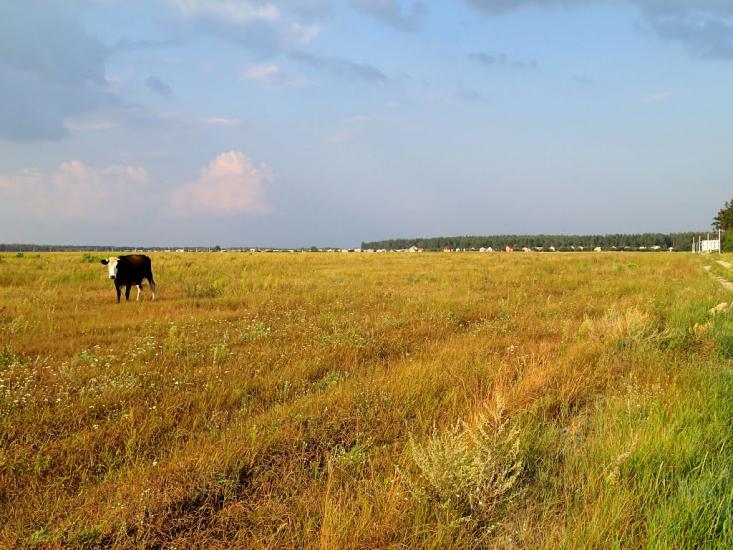 Ясногородка з panoramio.com - Ясногородка