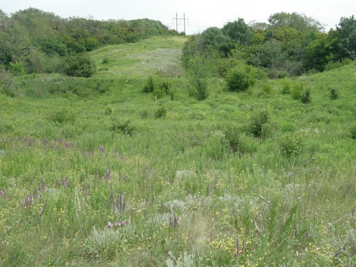 Новозванівка з panoramio.com - Новозвановка
