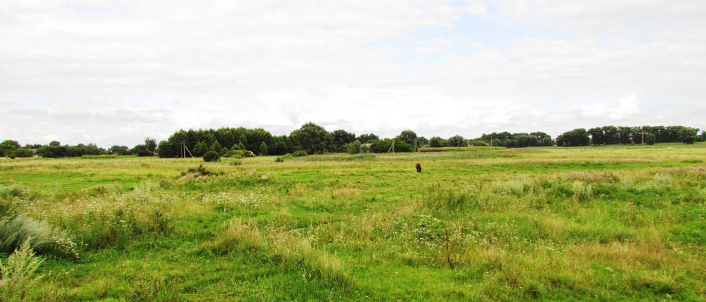 Брусилів з panoramio.com - Брусилов