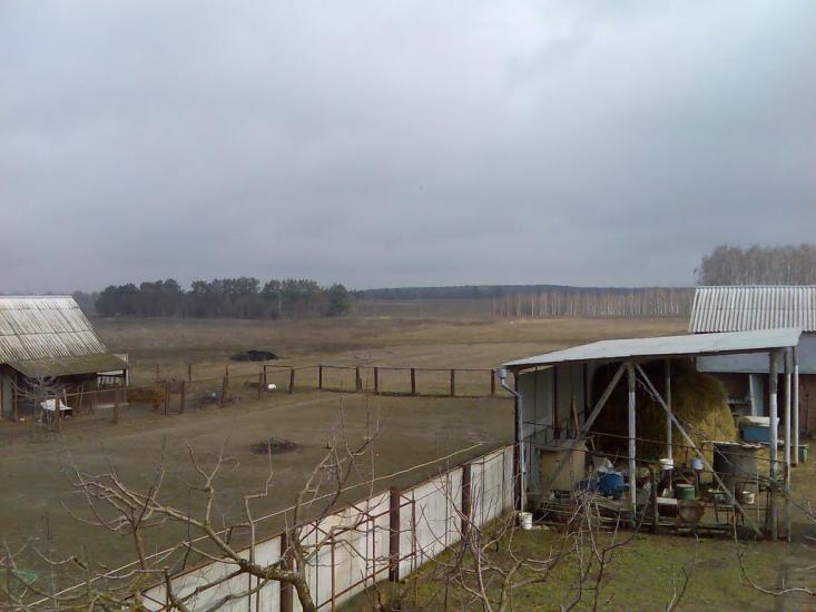 Зурівка з panoramio.com - Зурівка