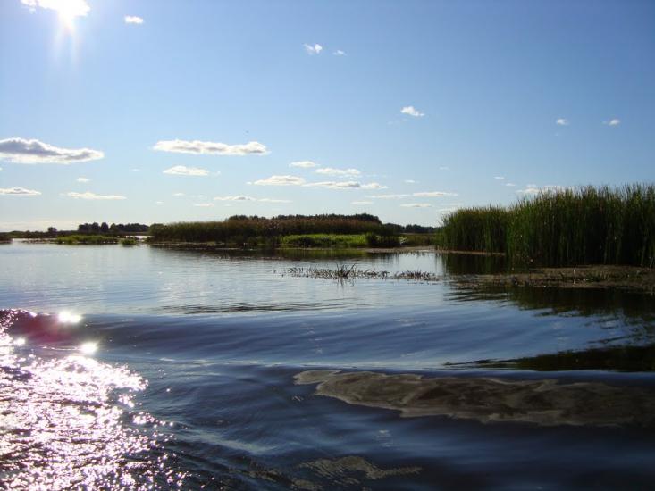 Сорокошичі з panoramio.com - Сорокошичі