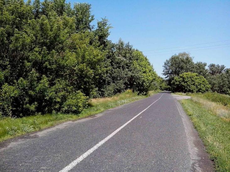 Приліпка з panoramio.com - Прилипка