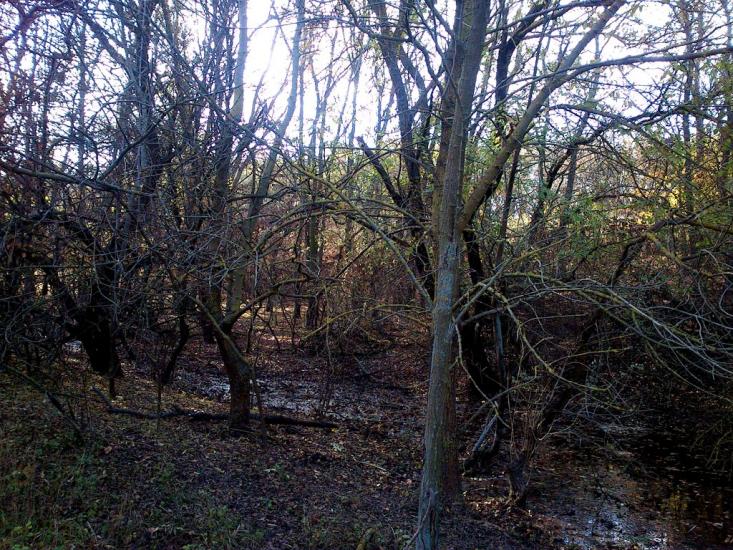 Суворове з panoramio.com - Суворово