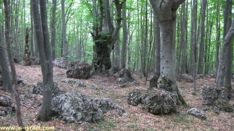 Многоріччя з panoramio.com - Многоречье