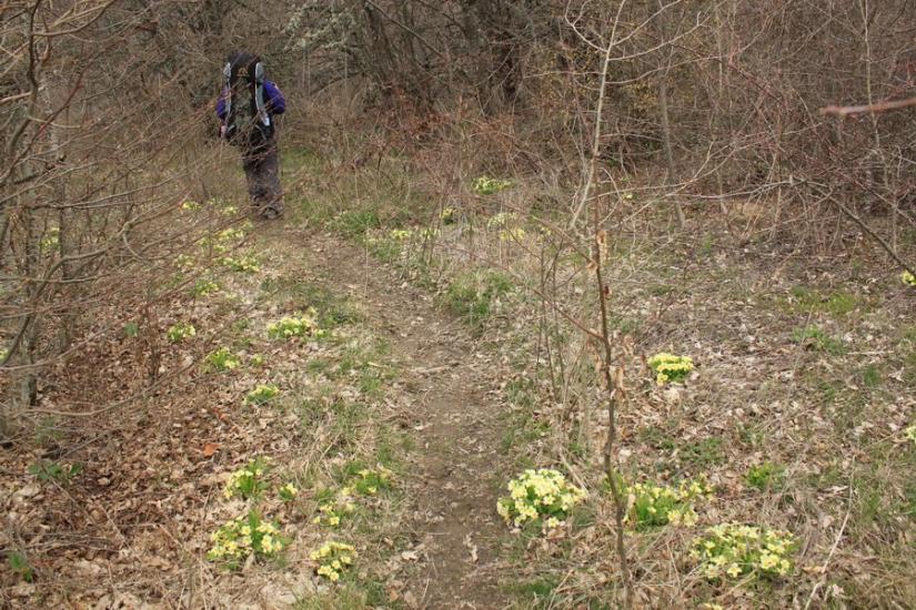 Громівка з panoramio.com - Громівка