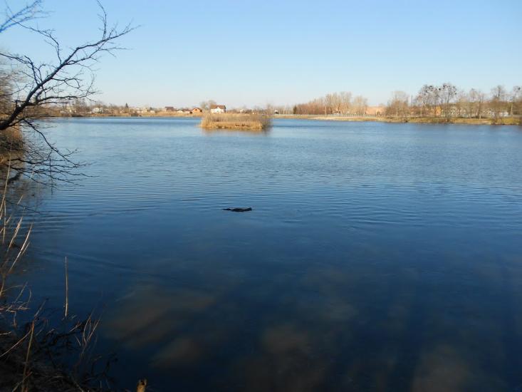 Чапаєвка з panoramio.com - Чапаевка
