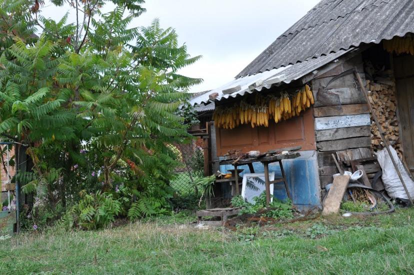 Лугове з panoramio.com - Лугове