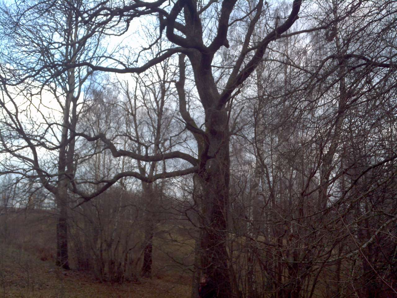 Городище - Городец