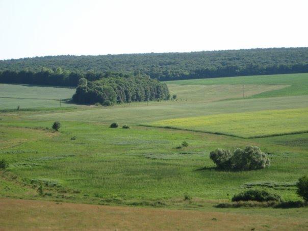 Княжа Криниця з panoramio.com - Княжа Криниця