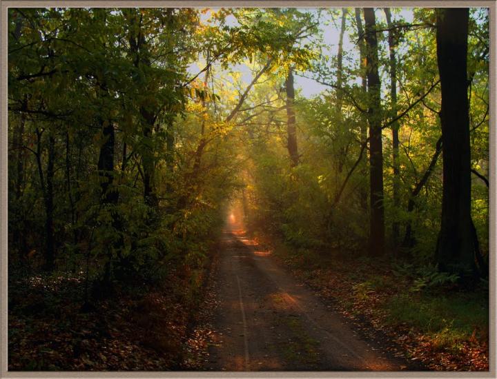 Коженики з panoramio.com - Коженики