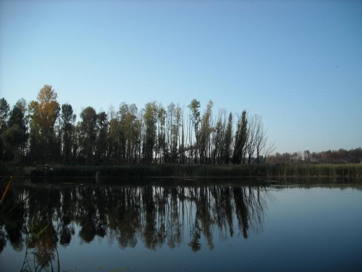 Чапаєвка з panoramio.com - Чапаевка