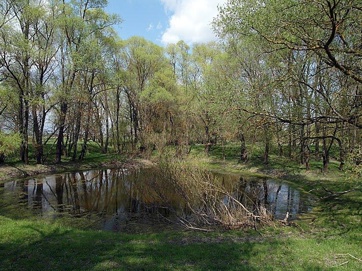 Вельбівка з panoramio.com - Вельбовка
