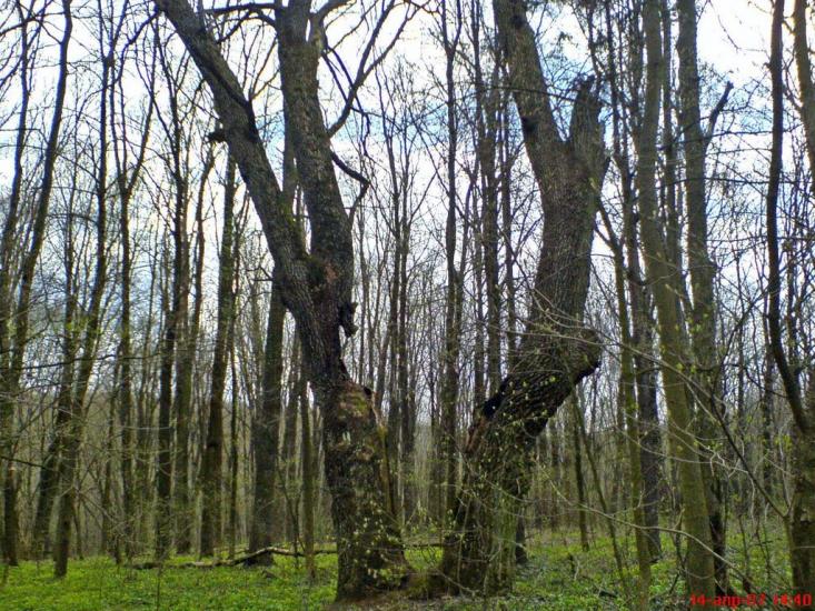 Клин з panoramio.com - Клин