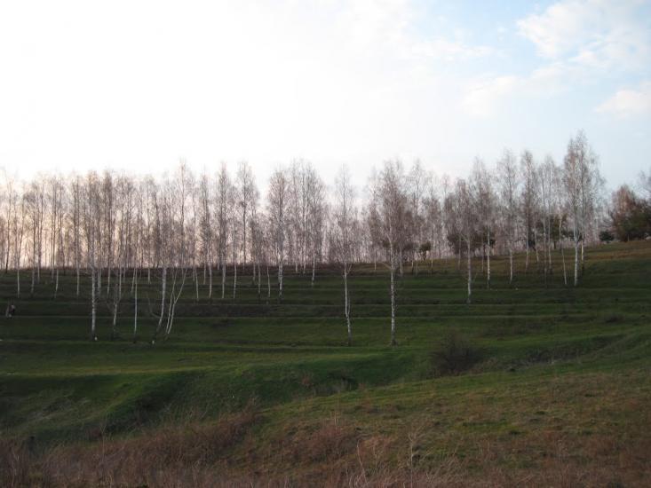 Сад з panoramio.com - Сад