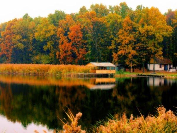 Андрушівка з panoramio.com - Андрушевка