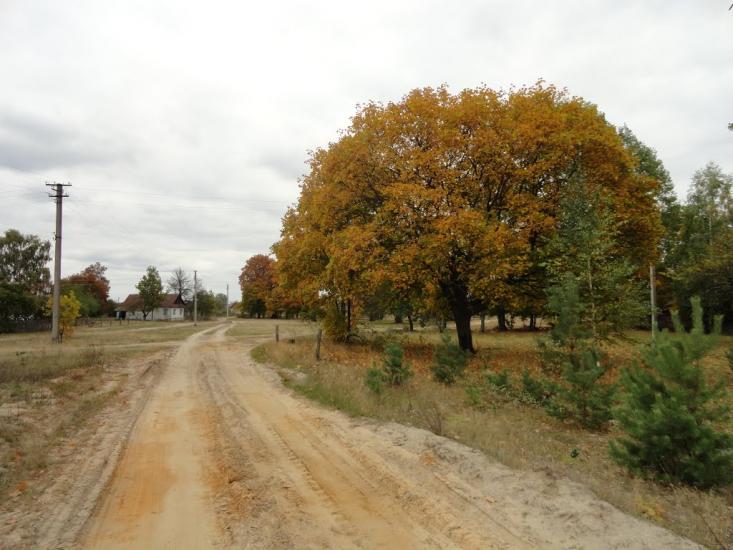 Градиськ з panoramio.com - Градиск