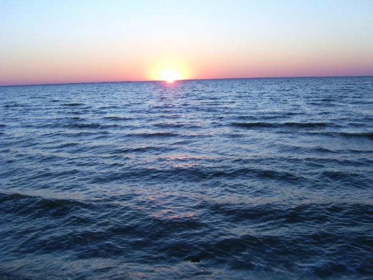 Лиман з panoramio.com - Лиман