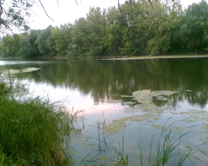 Старобільськ з panoramio.com - Старобельск