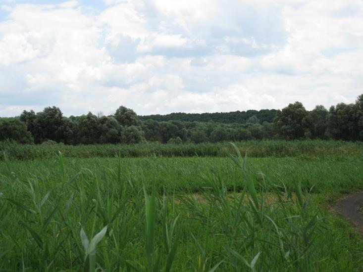 Лохвиця з panoramio.com - Lokhvitsa