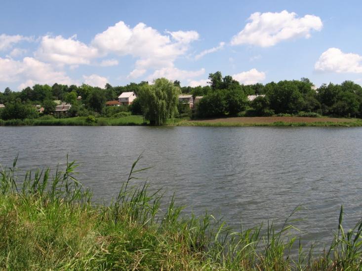 Зарванці з panoramio.com - Зарванці