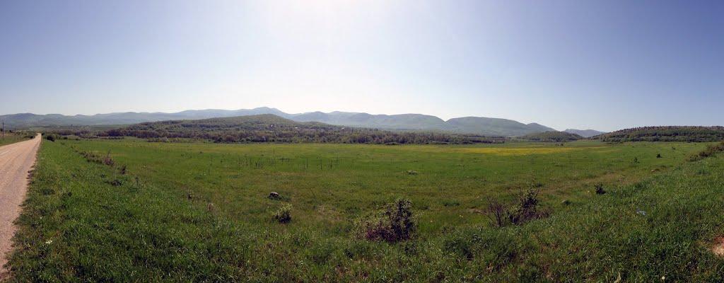 Орлине з panoramio.com - Orlyne