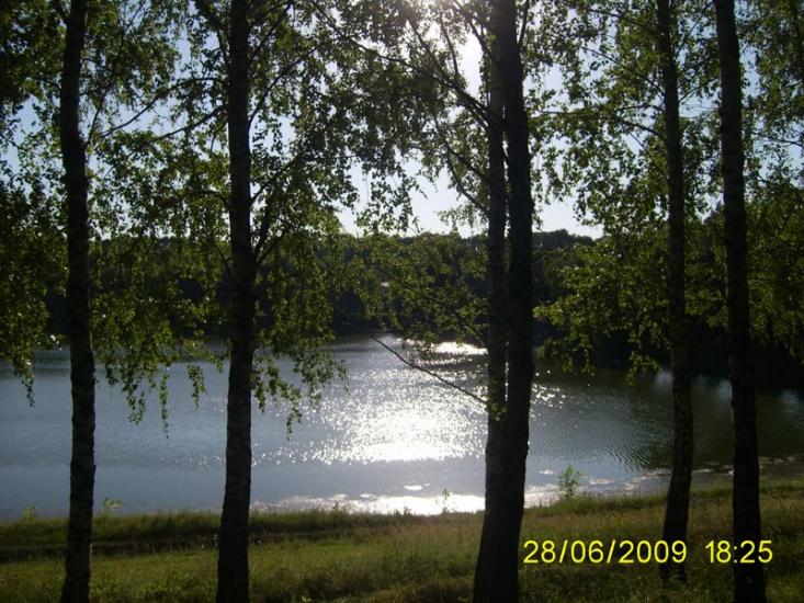 Сад з panoramio.com - Сад