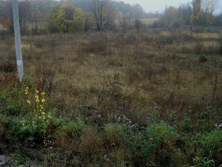 Вільхівці з panoramio.com - Вільхівці