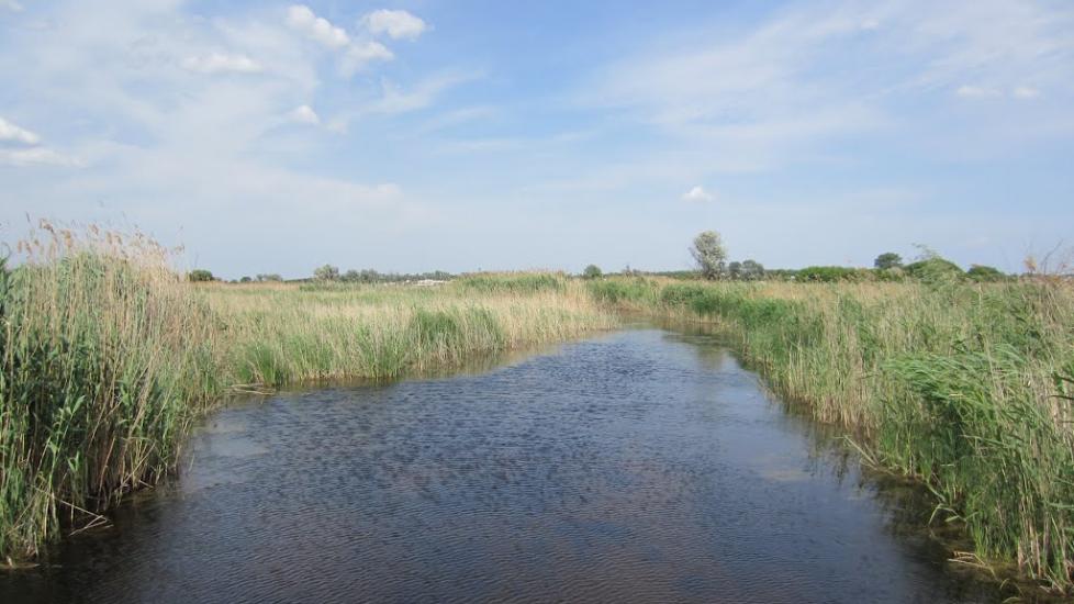 Маївка з panoramio.com - Маївка