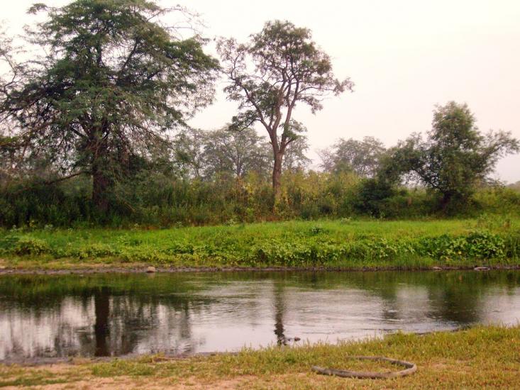 Кузнеці з panoramio.com - Kuznetsi