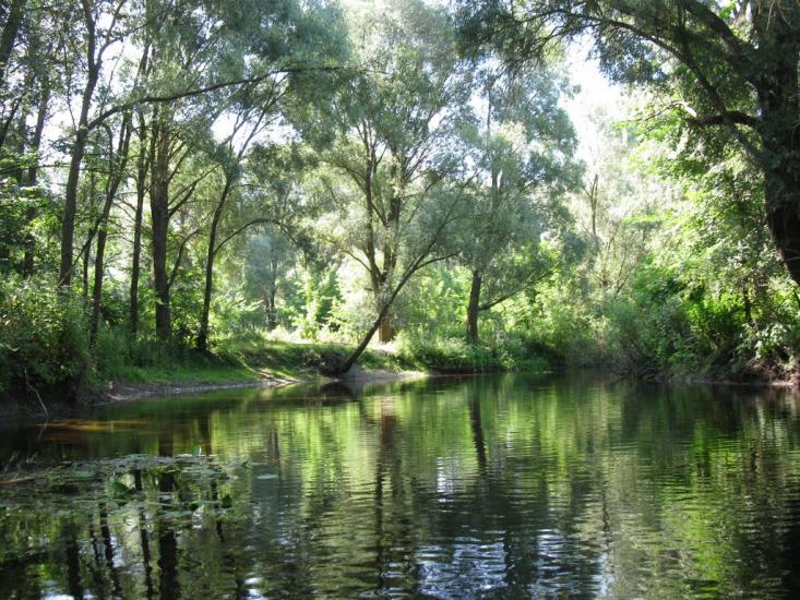 Лохвиця з panoramio.com - Lokhvitsa