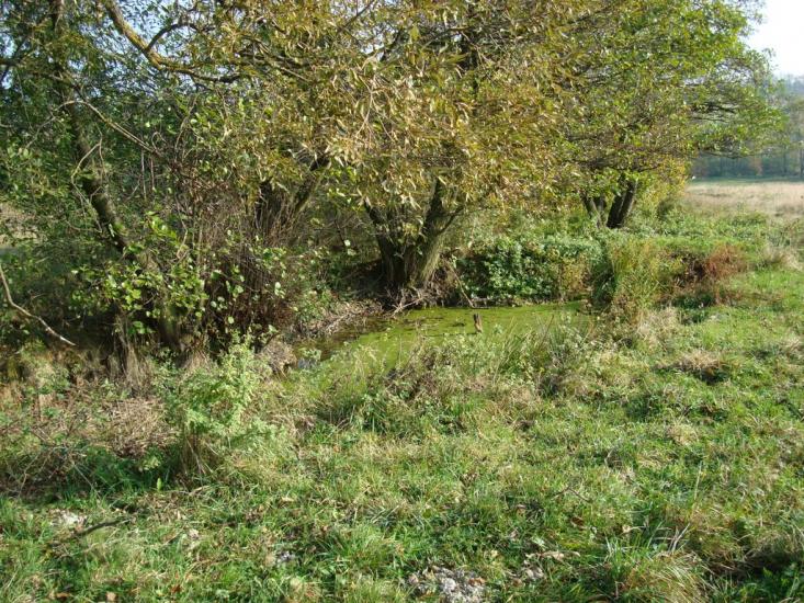 Раківчик з panoramio.com - Rakivchyk