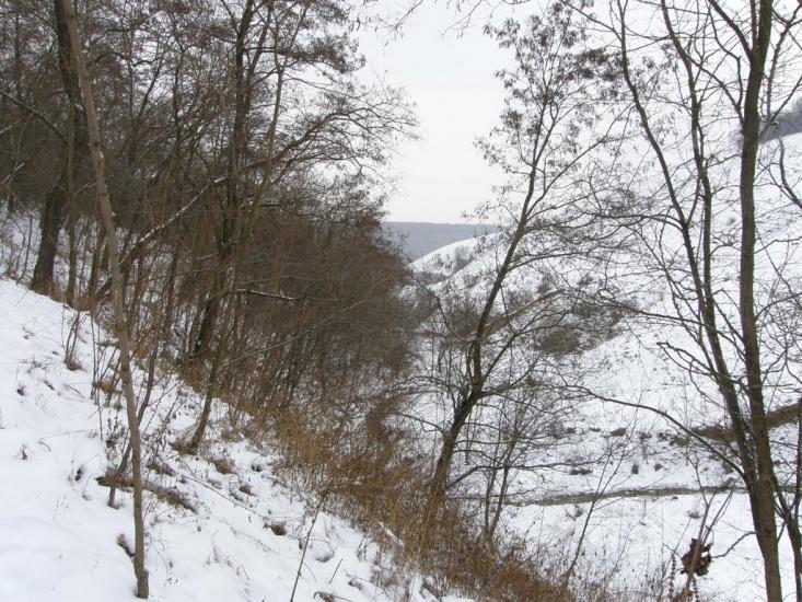 Рудківці з panoramio.com - Рудківці