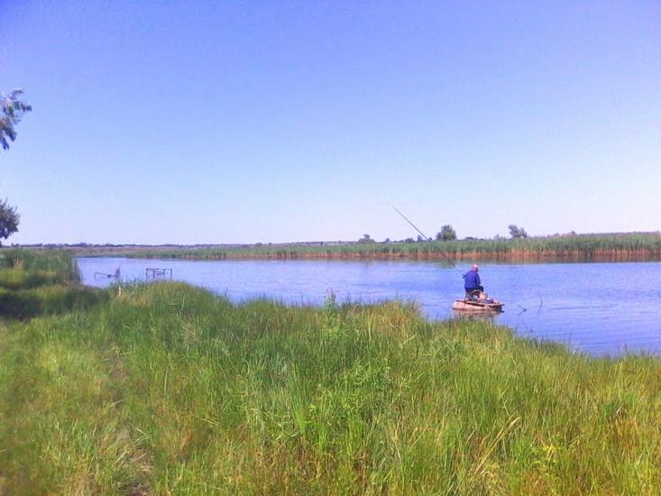 Новотимофіївка з panoramio.com - Новотимофіївка