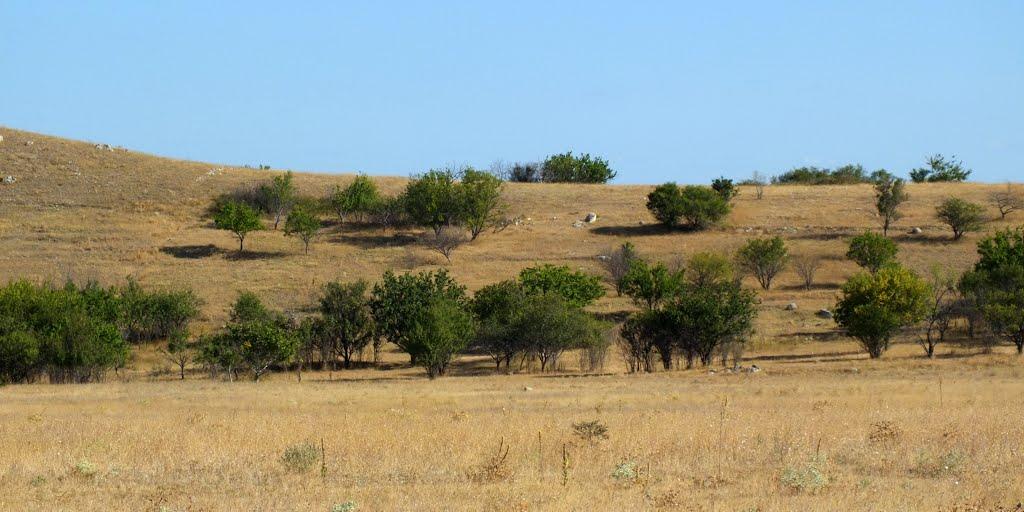 Октябрське з panoramio.com - Октябрське