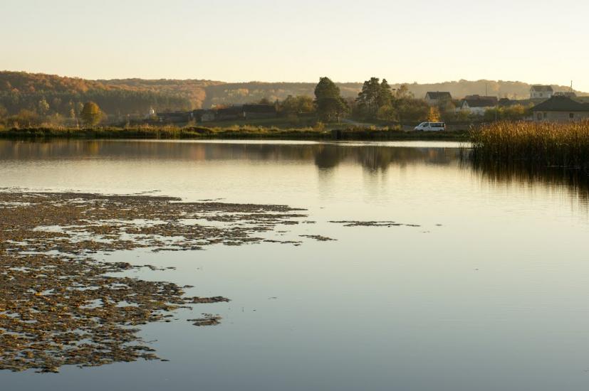 Верещиця з panoramio.com - Верещица