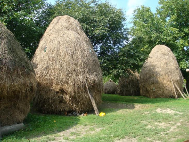 Дяківці з panoramio.com - Дьяковцы