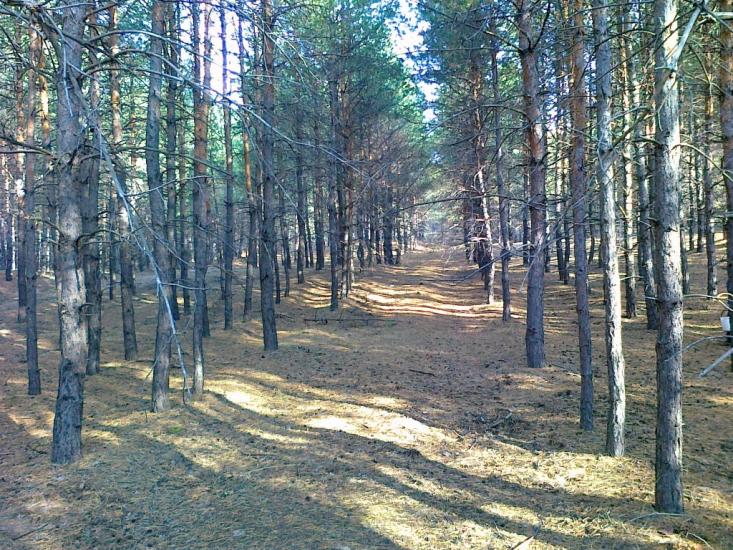 Дронівка з panoramio.com - Дронівка