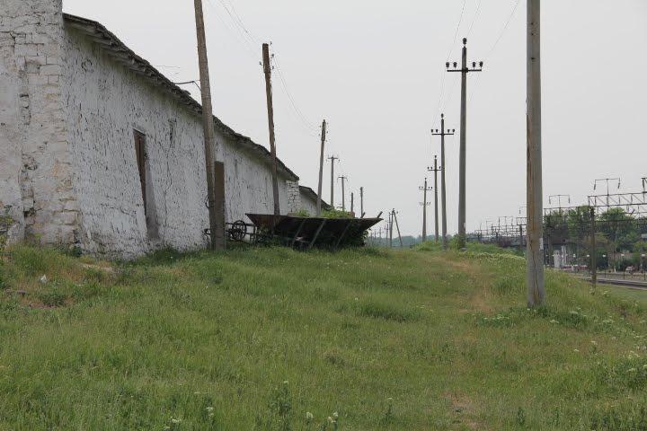 Березівка з panoramio.com - Березовка