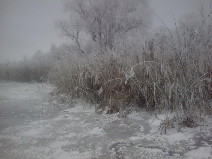 Вінкове з panoramio.com - Vinkove