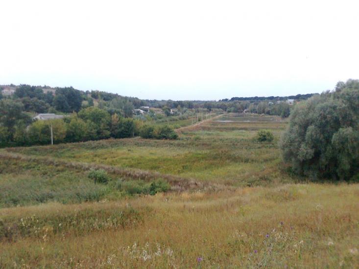 Сад з panoramio.com - Сад